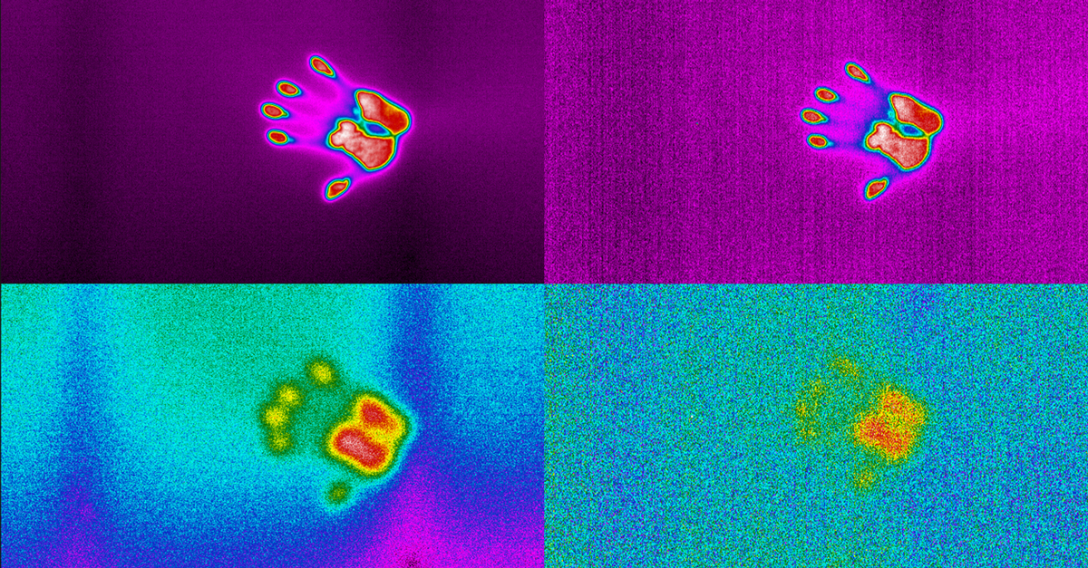 Thermal image of four handprints with various color palettes